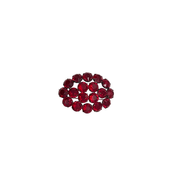 A small oval cluster of faceted dark red gemstones set in a dark metal frame, centered on a plain white background.