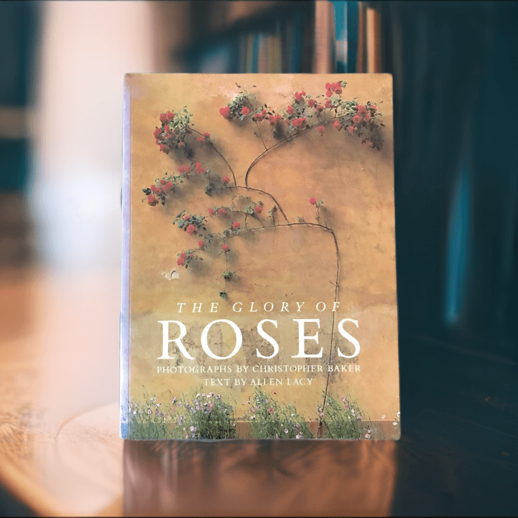 "The Glory of Roses" Beautifully Illustrated Book (1990) - Lamoree’s Vintage