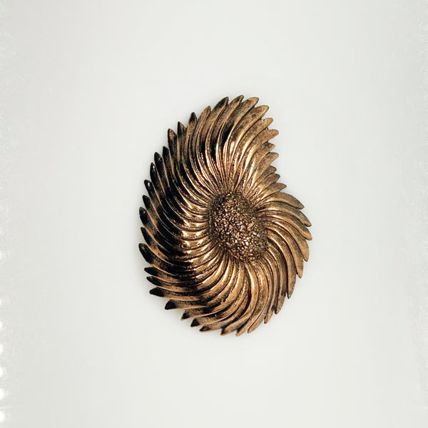 Vintage Tortolani copper-toned shell brooch featuring a textured, swirling modernist design reminiscent of a nautilus shell with a central cluster of dense, nugget-like details against a solid white background
