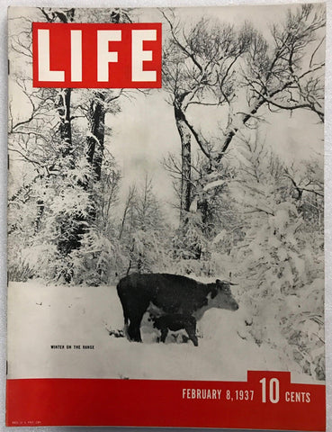 Life Magazine, February 8, 1937 - Lamoree’s Vintage