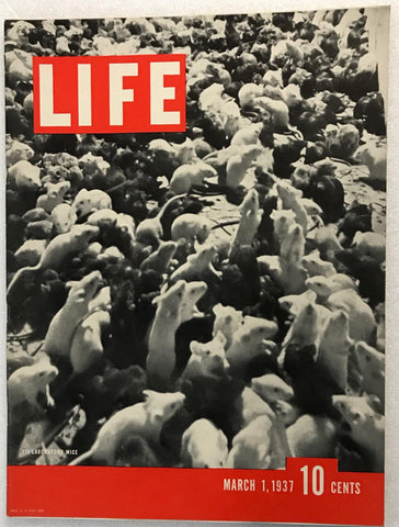 Life Magazine, March 1, 1937 - Lamoree’s Vintage