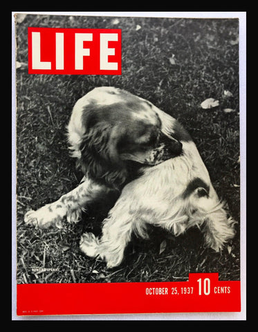 Life Magazine, October 25, 1937 - Lamoree’s Vintage