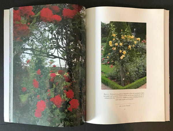 "The Glory of Roses" Beautifully Illustrated Book (1990) - Lamoree’s Vintage