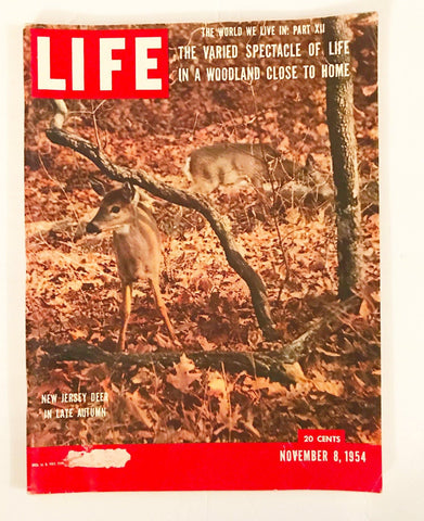 Vintage LIFE Magazine November 8, 1954 - Lamoree’s Vintage